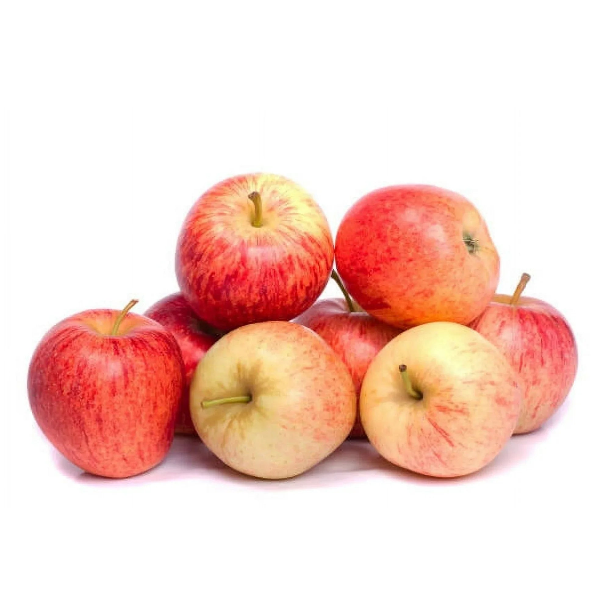 Apple Fruit