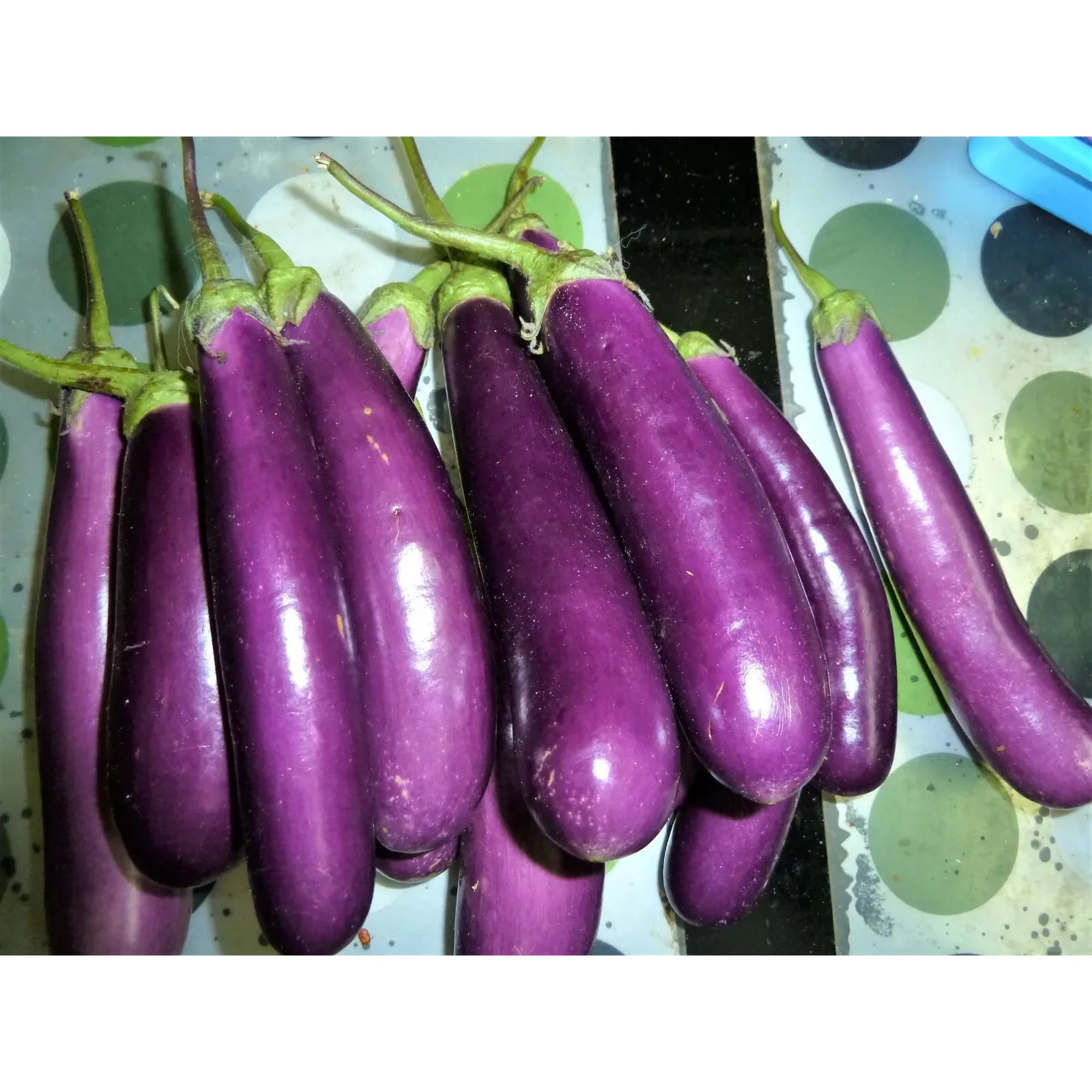 300 Long Purple Eggplant Seeds - Heirloom Non-GMO Eggplant - Great Yield!