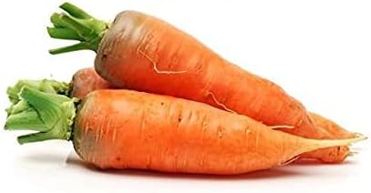 Carrots-Danvers Half Long.- 100+ Seeds