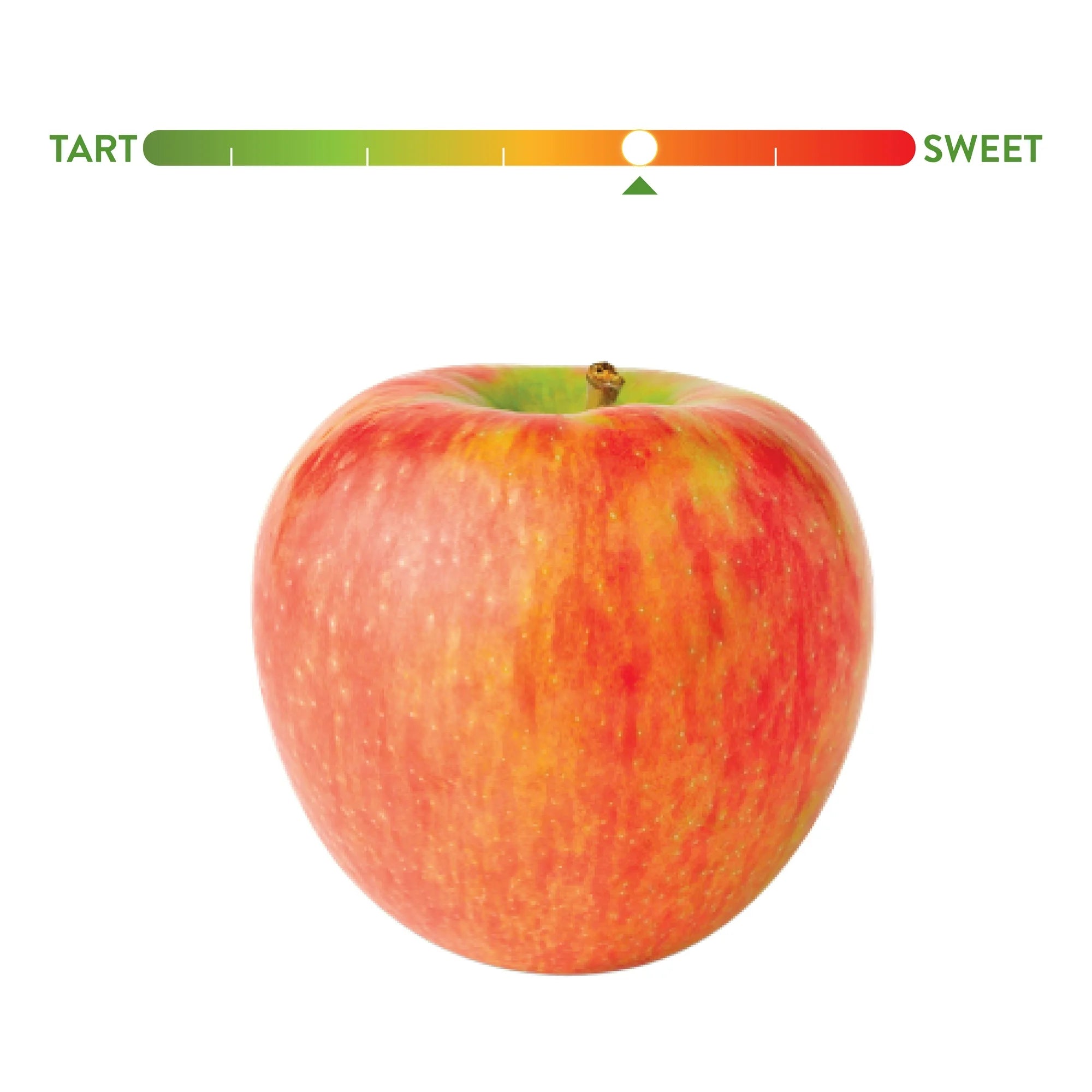 Fresh Honeycrisp Apples, 3 lb Bag