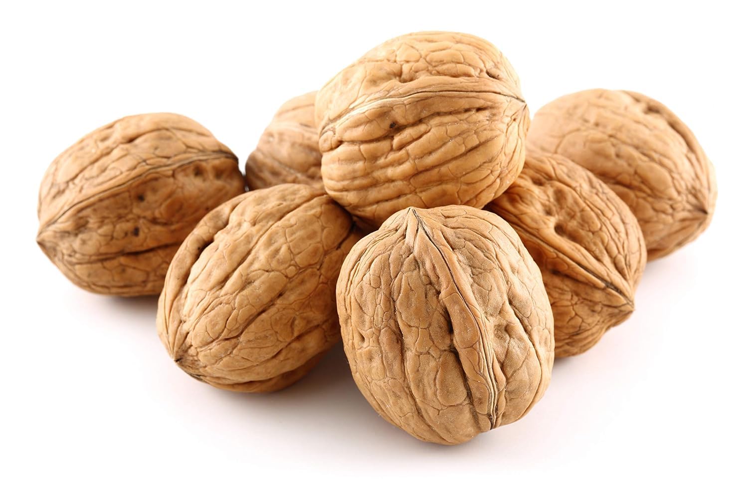 Premium Natural Walnuts in Shell 48 Oz Walnuts in Shell, Jumbo, Fresh, Buttery Taste, Easy to Crack