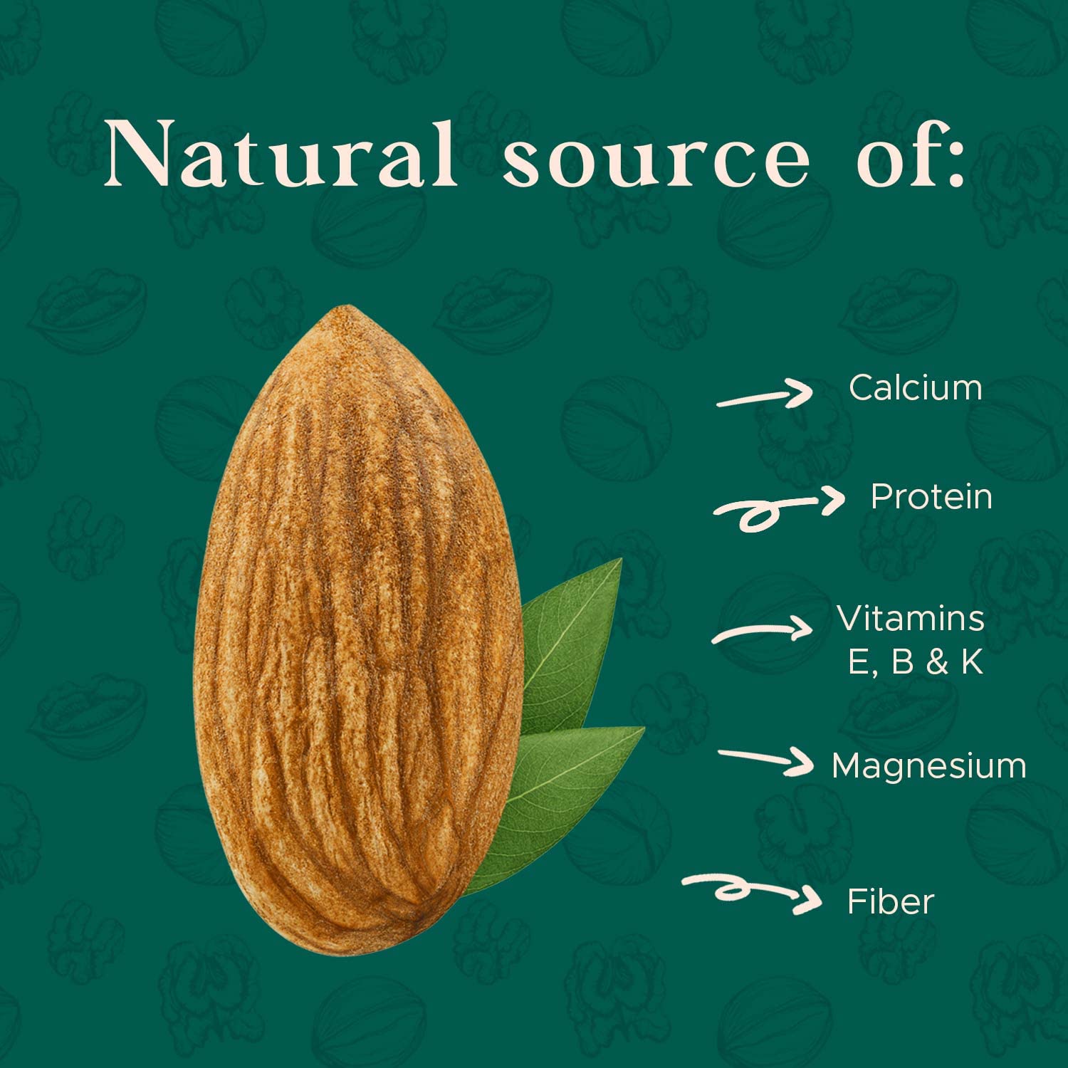 Dry Roasted Almonds Unsalted 64 oz (4 lbs) Batch Tested Gluten & Peanut Free No Oil Whole No PPO Non-GMO No Herbicide Healthy Protein