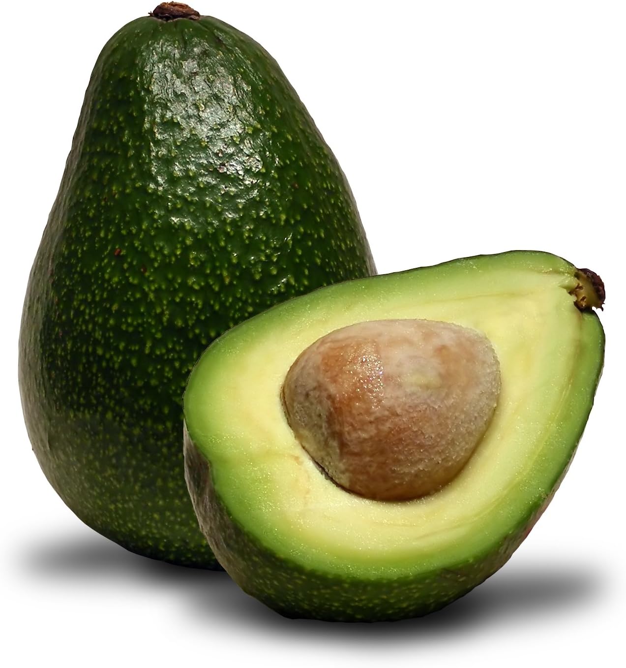 Hass Avocado 5 Seeds