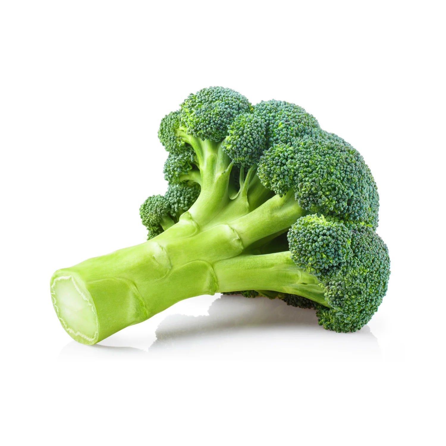 Fresh Green Whole Broccoli Bunch, 1 Bunch Wrapped