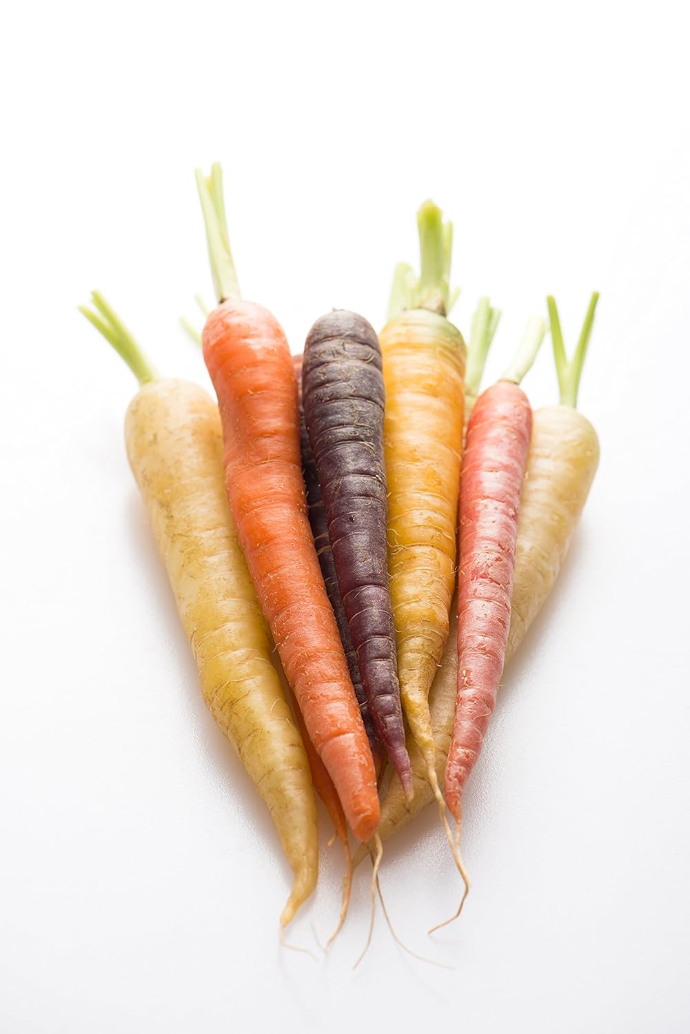 Rainbow Carrots, Locally Grown, 2 Bunches