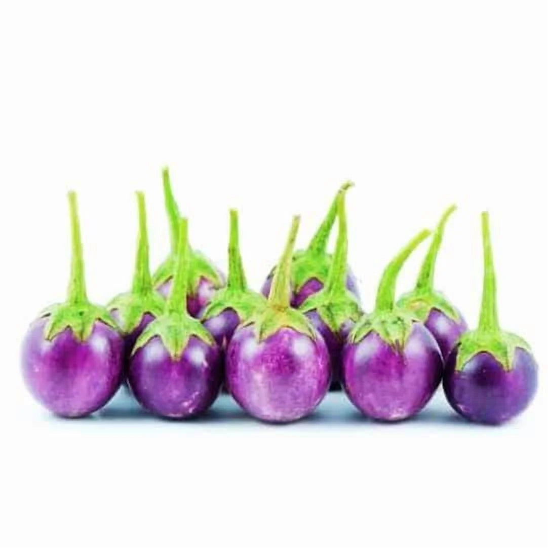 100 Purple Round Vietnam Eggplant Seeds, Cà Pháo Tím Non-GMO Heirloom by Mai's Family