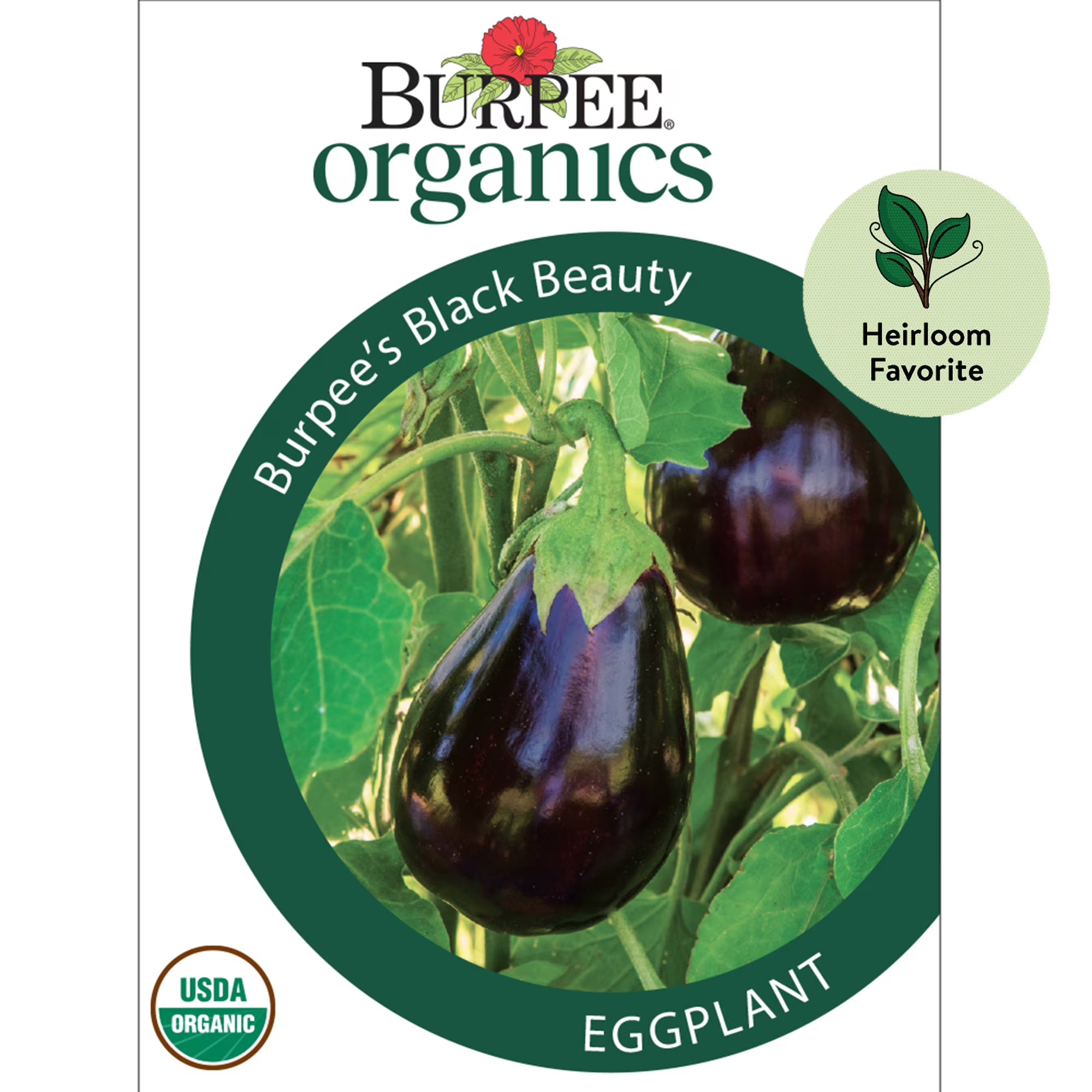 Burpee Organic Burpee's Black Beauty Eggplant Vegetable Seed, 1-Pack, Full Sun, Annual