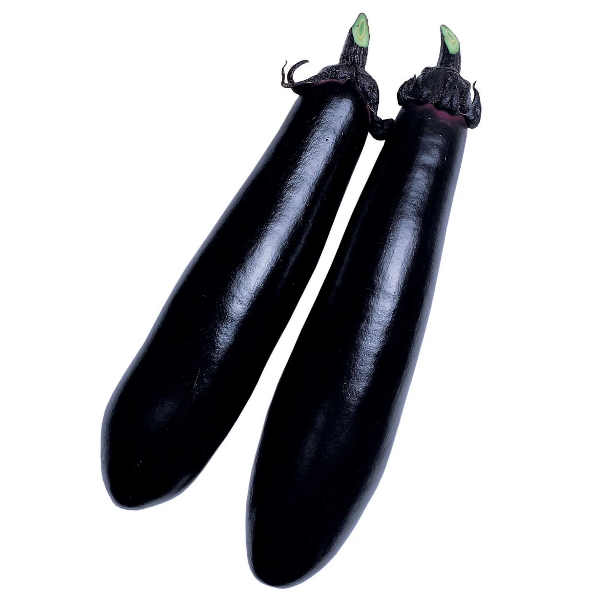 Eggplant Seeds - Black Shine - Hybrid - 500 Mg Packet ~112 Seeds - Non-GMO, F1 Hybrid - Asian Garden Vegetable