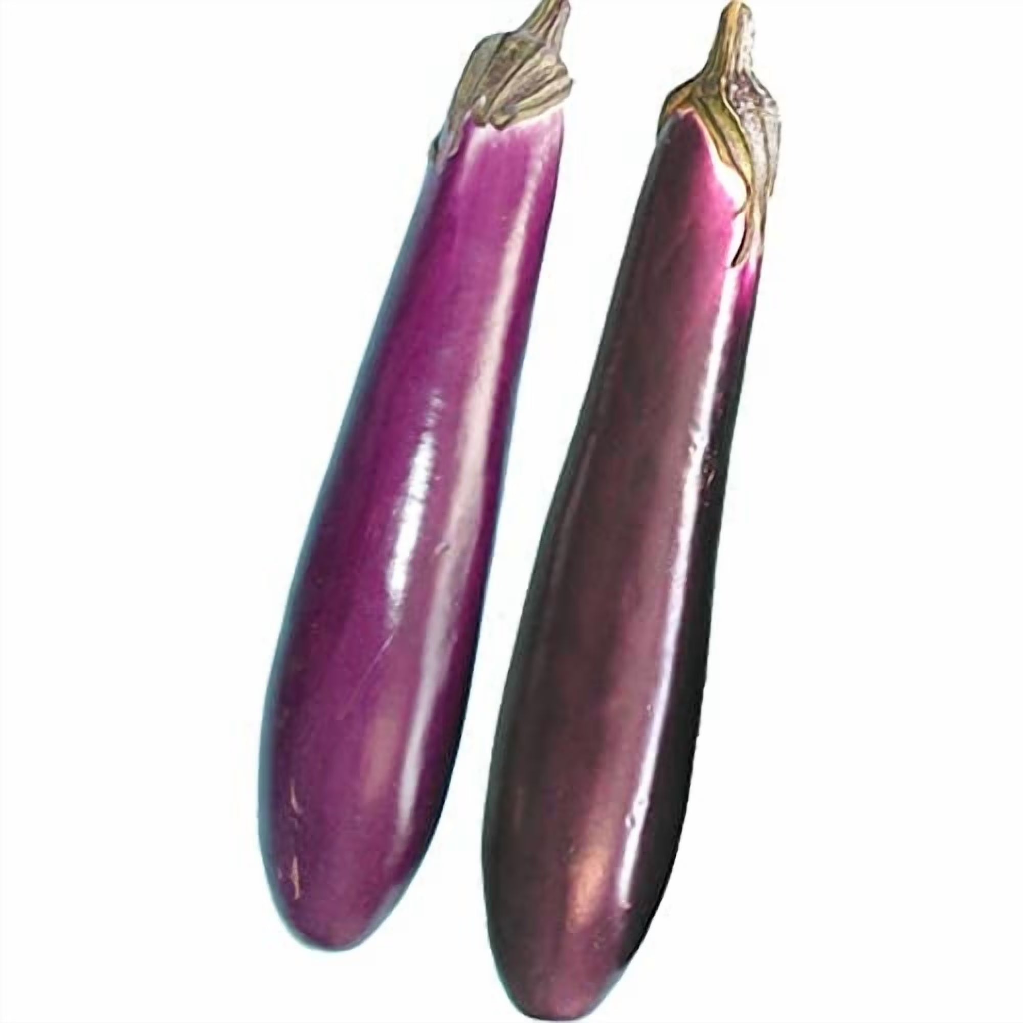 Eggplant Seeds - Purple Shine - Hybrid - 500 Mg Packet ~112 Seeds