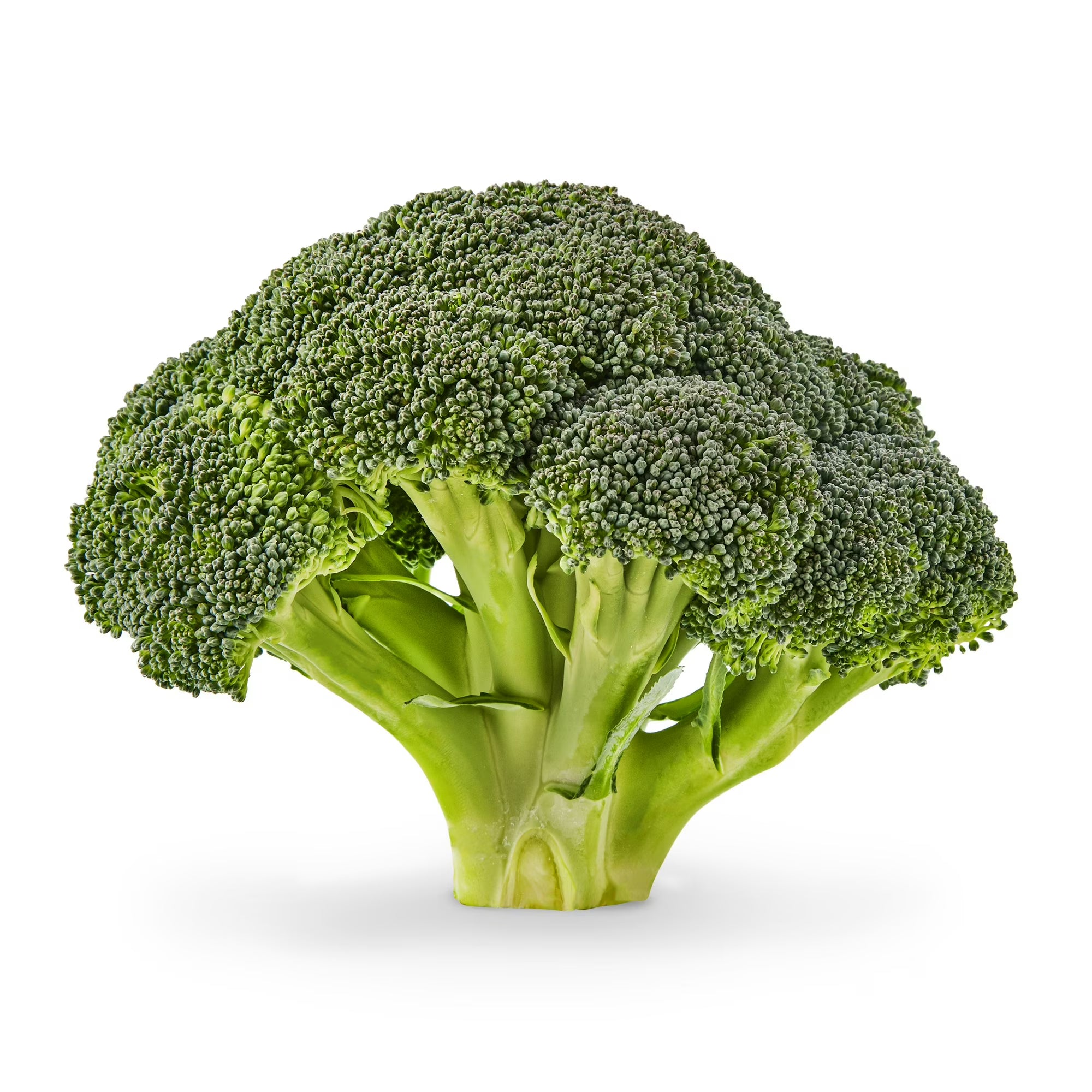 Fresh Whole Green Broccoli Crowns, 1 Each