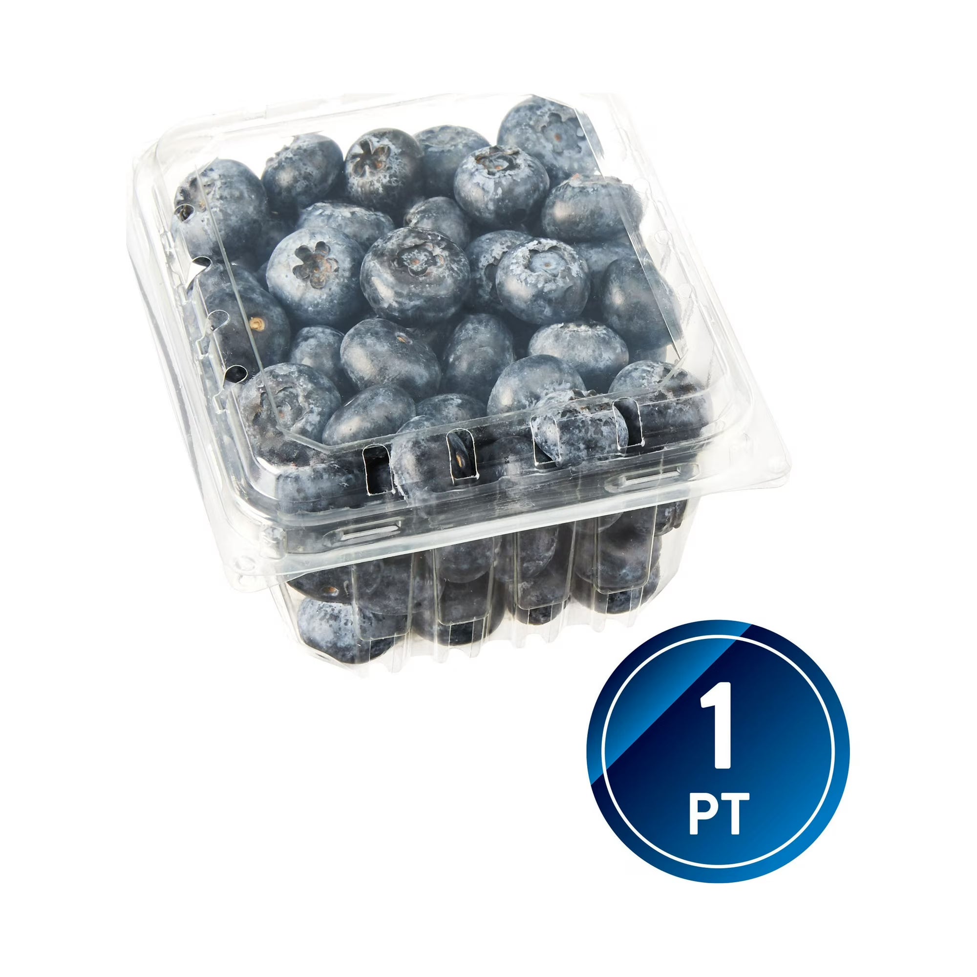 Fresh Organic Blueberries, 1 Pint Container