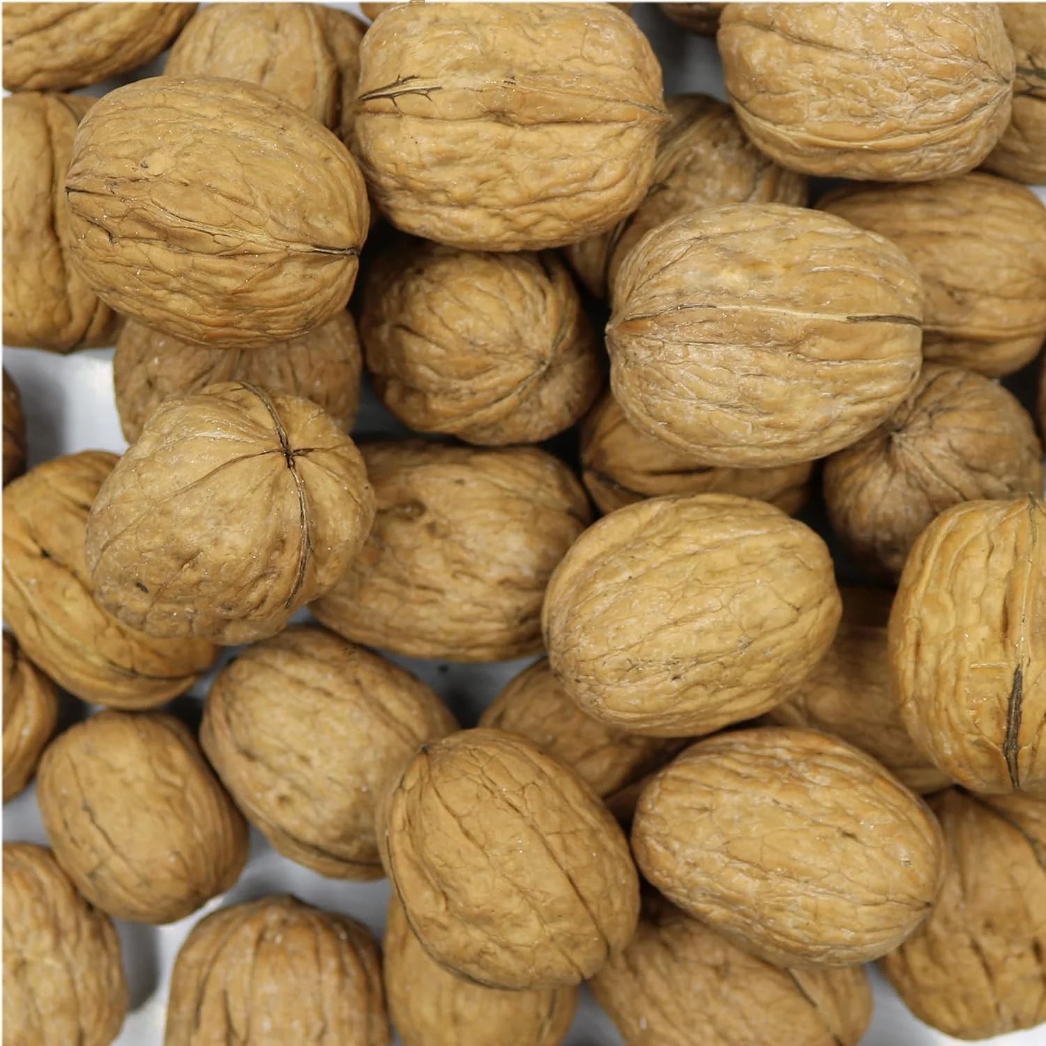 FirstChoiceCandy whole walnuts enclosed within their Shell - 2 Pound