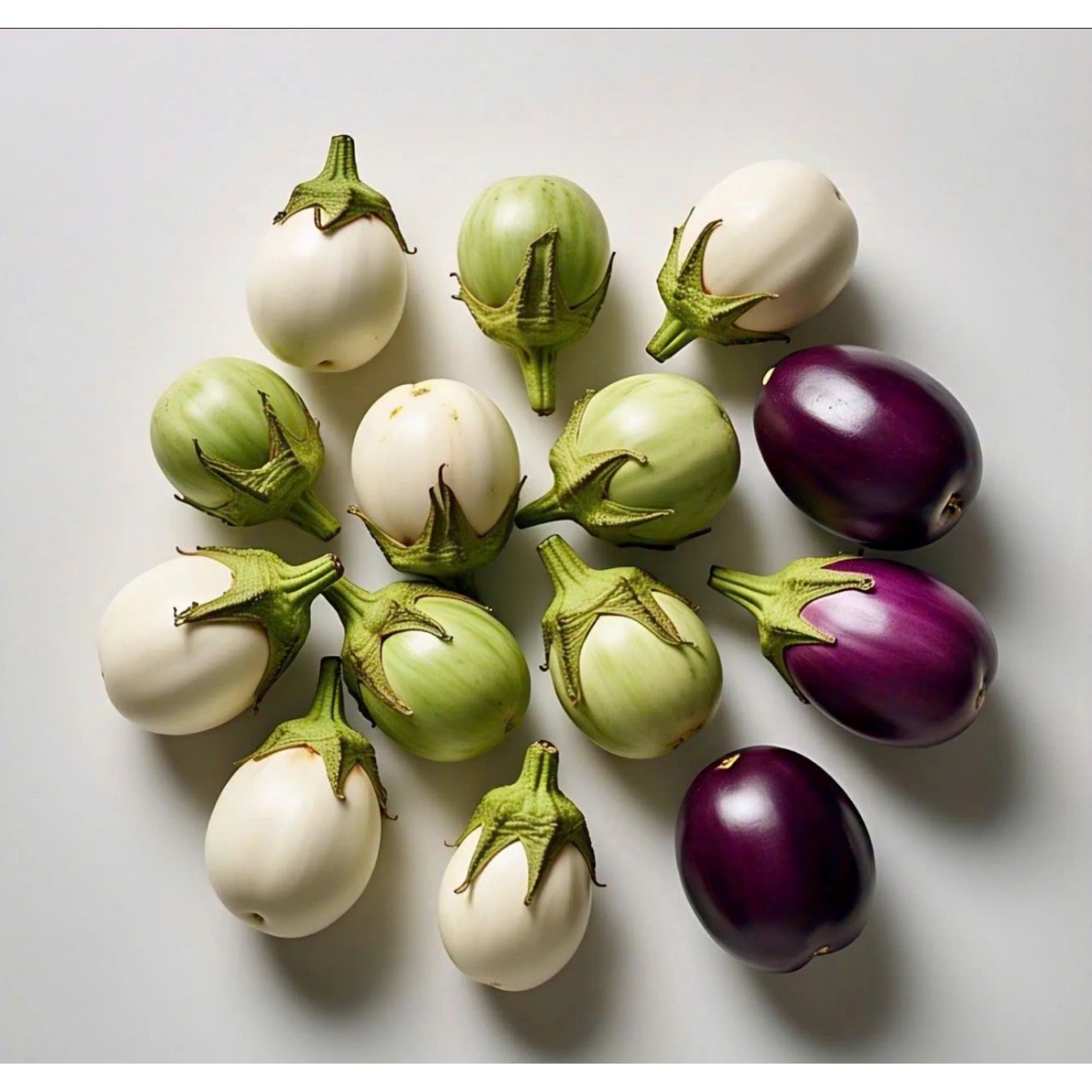 100 Round Eggplant Mix Plant Seeds, Non-GMO, High-Quality by Mai's Family
