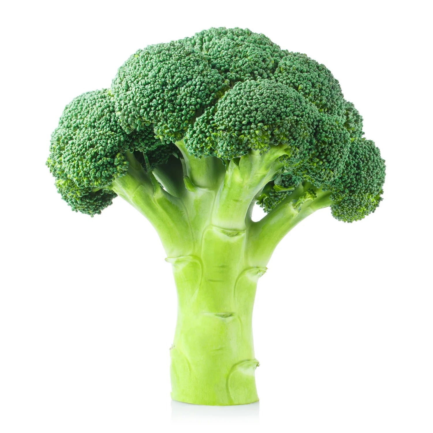 Fresh Green Whole Broccoli Bunch, 1 Bunch Wrapped
