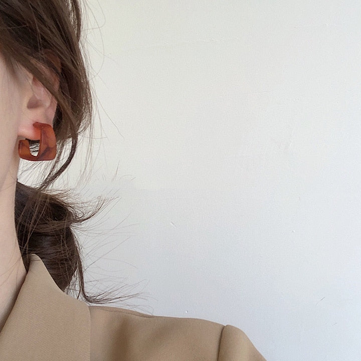 Zebra Pattern Acrylic Earrings