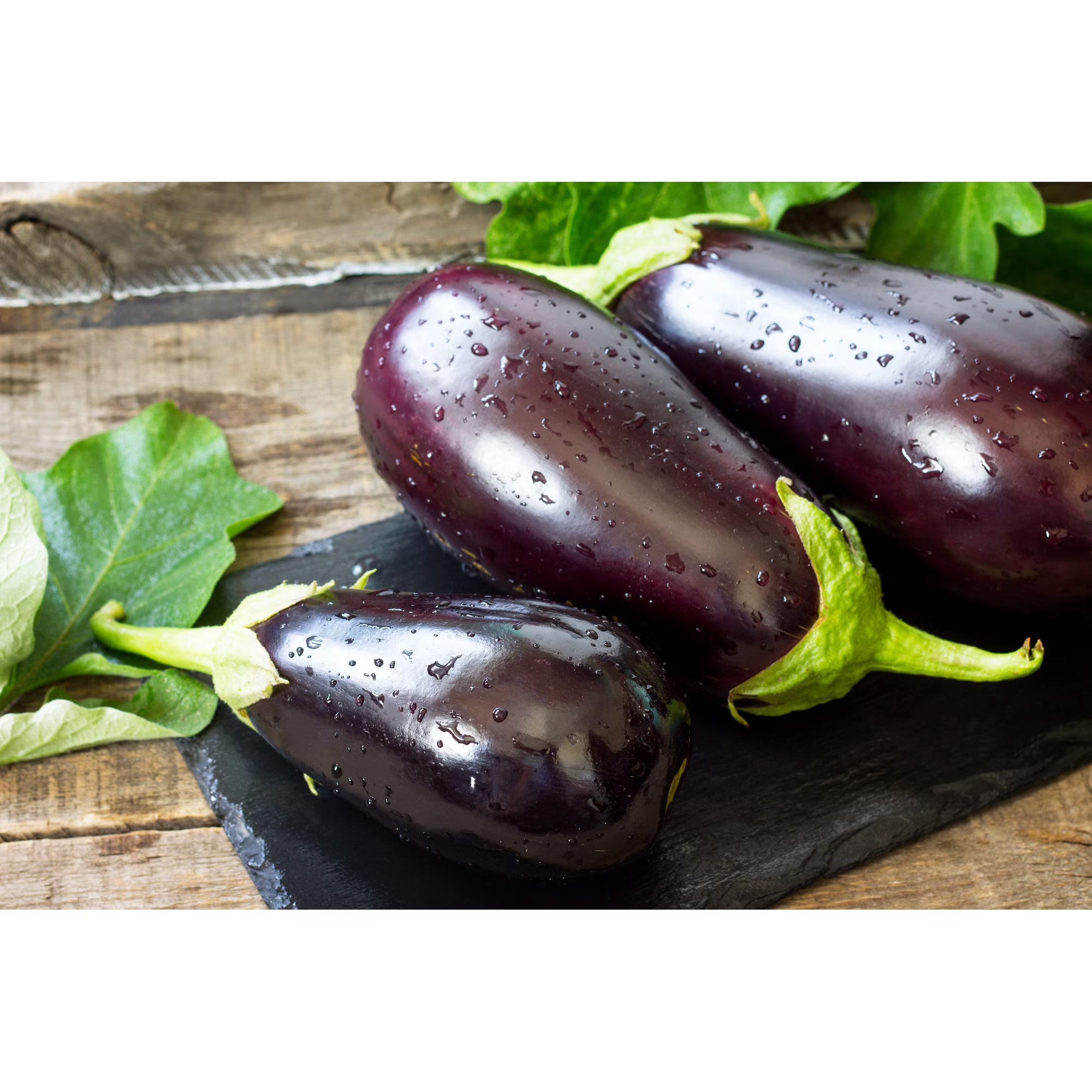 1000 * Seeds BLACK BEAUTY EGGPLANT Solanum Melongena Esculentum Vegetable Seeds