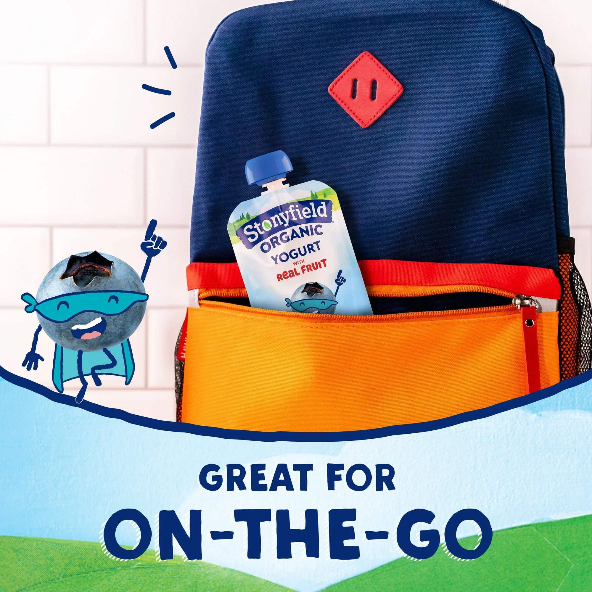 Stonyfield Organic Kids Lowfat Yogurt Pouch, Blueberry, 3.5 oz.