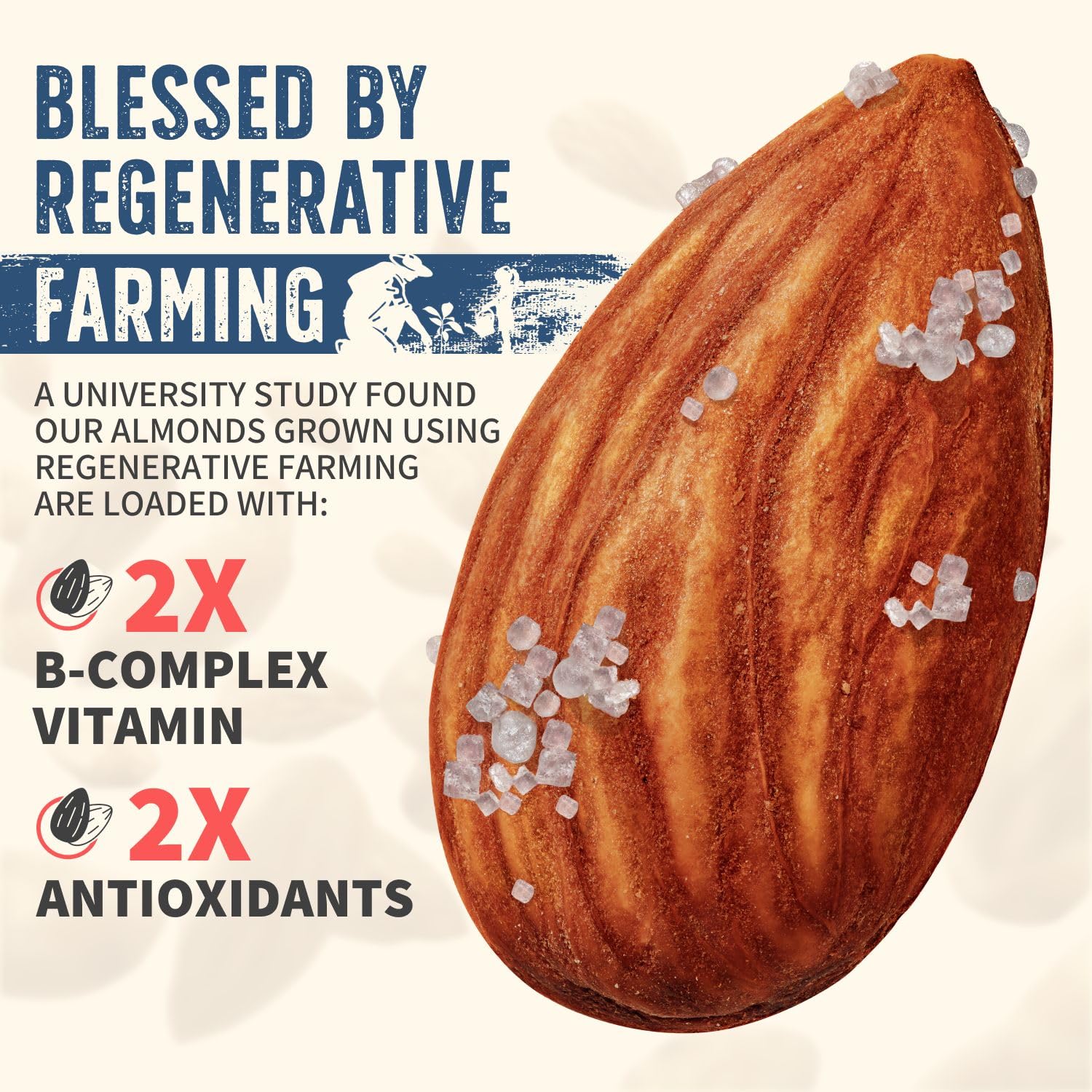 Burroughs Family Farms Organic Roasted & Salted Almonds (3 lb)