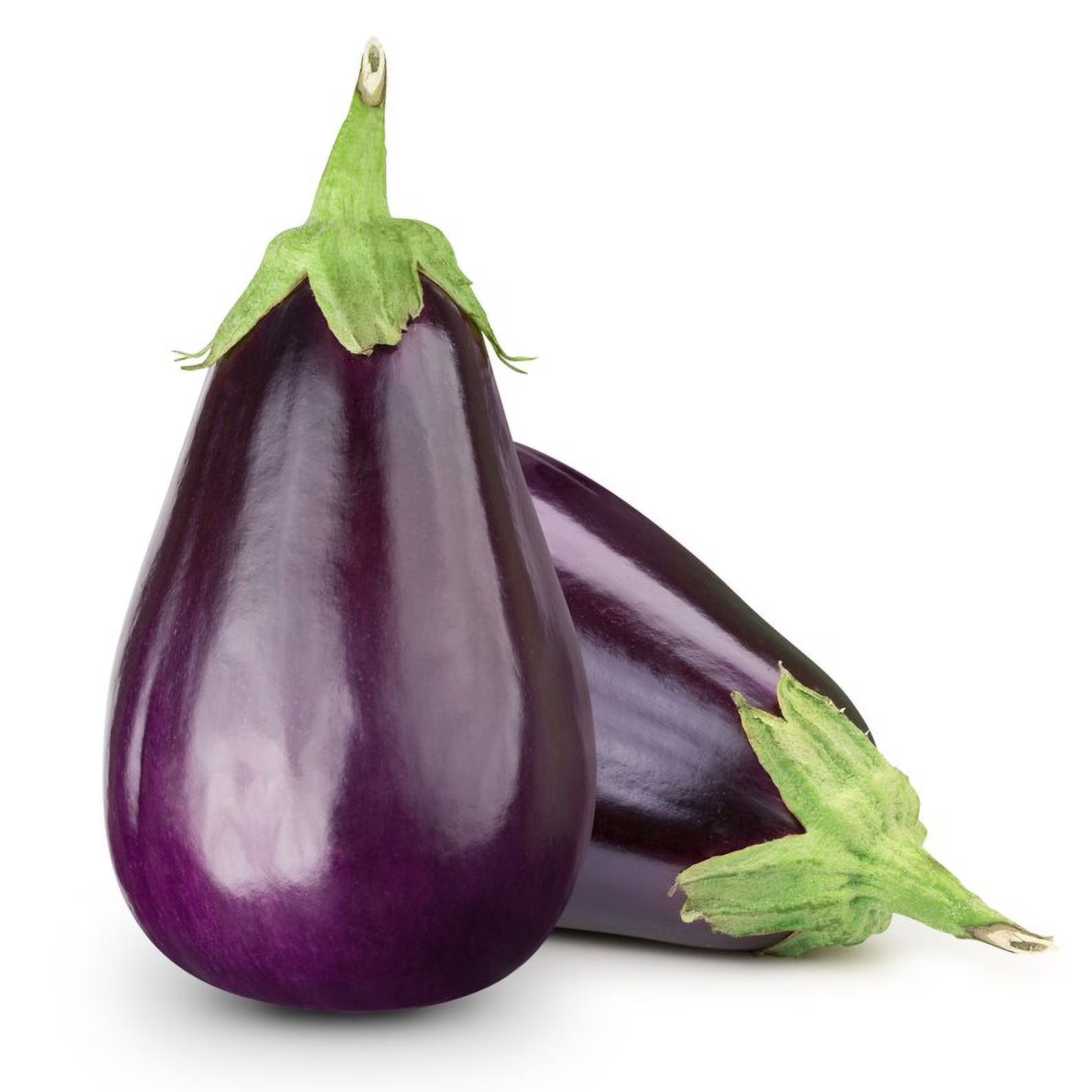 Black Beauty Eggplant Heirloom Premium Seed Packet