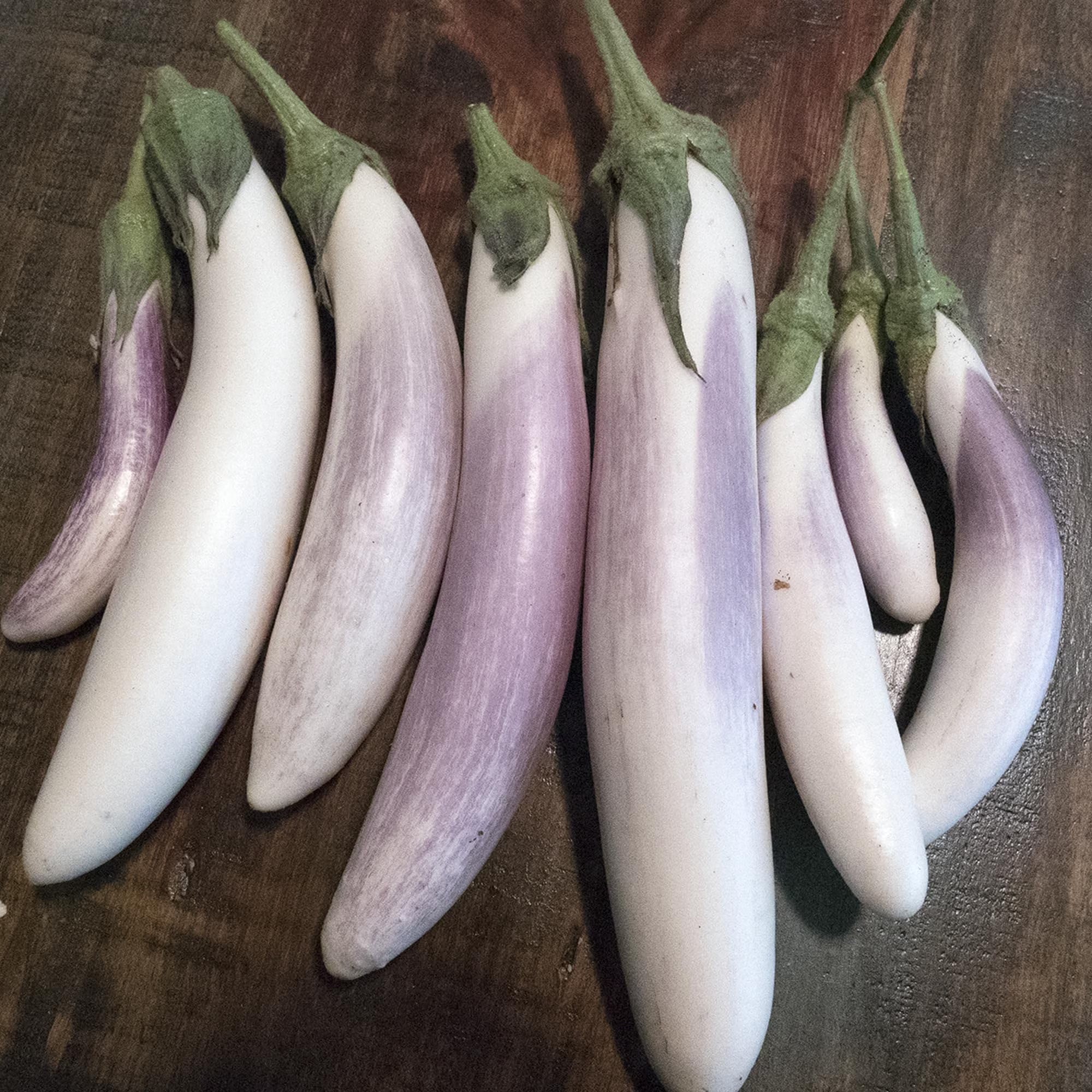 Bride F1 Hybrid Eggplant 500 Mg ~115 Seeds