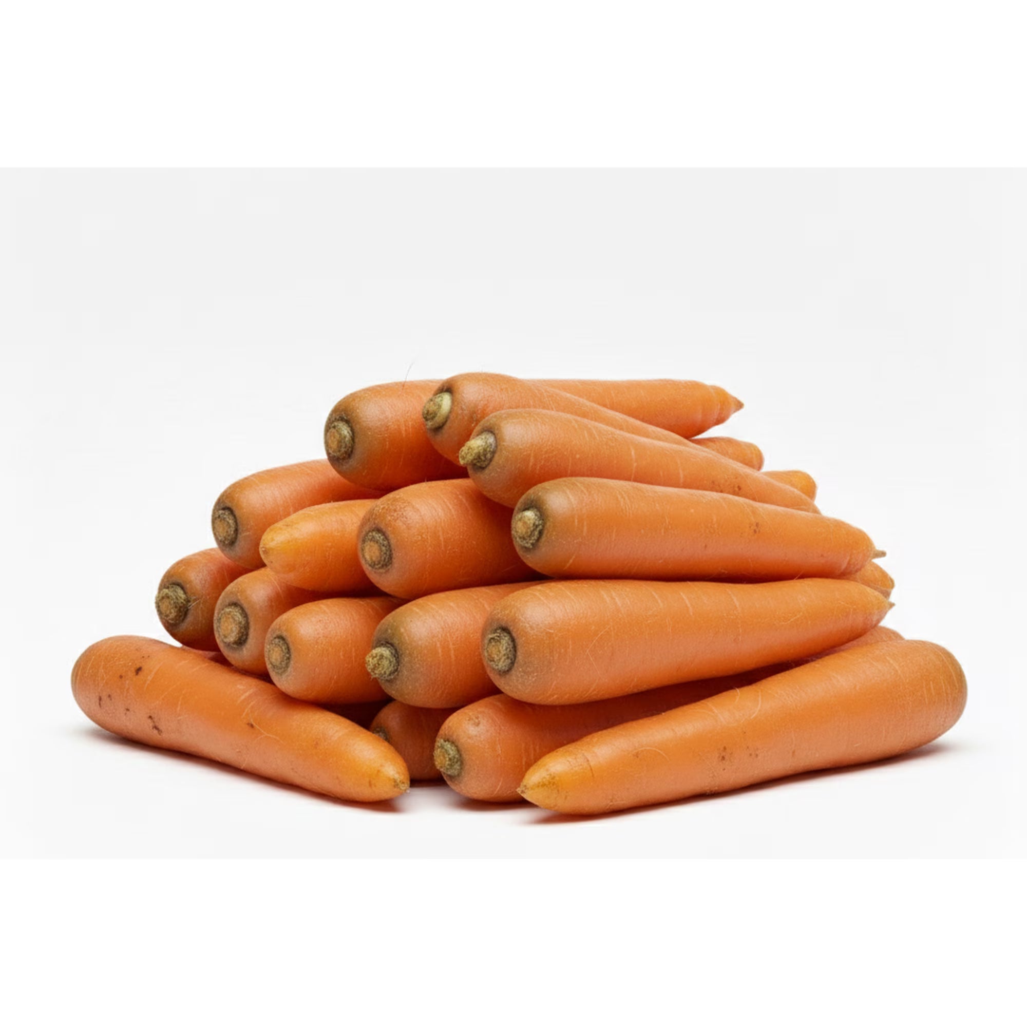 Fresh Carrots for Dips and Meals 2 lb Bag