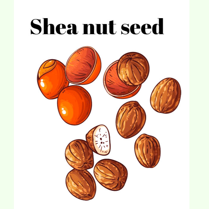 100% Raw Unrefined Organic Gold Shea Butter Bulk For All Hair & Skin Type