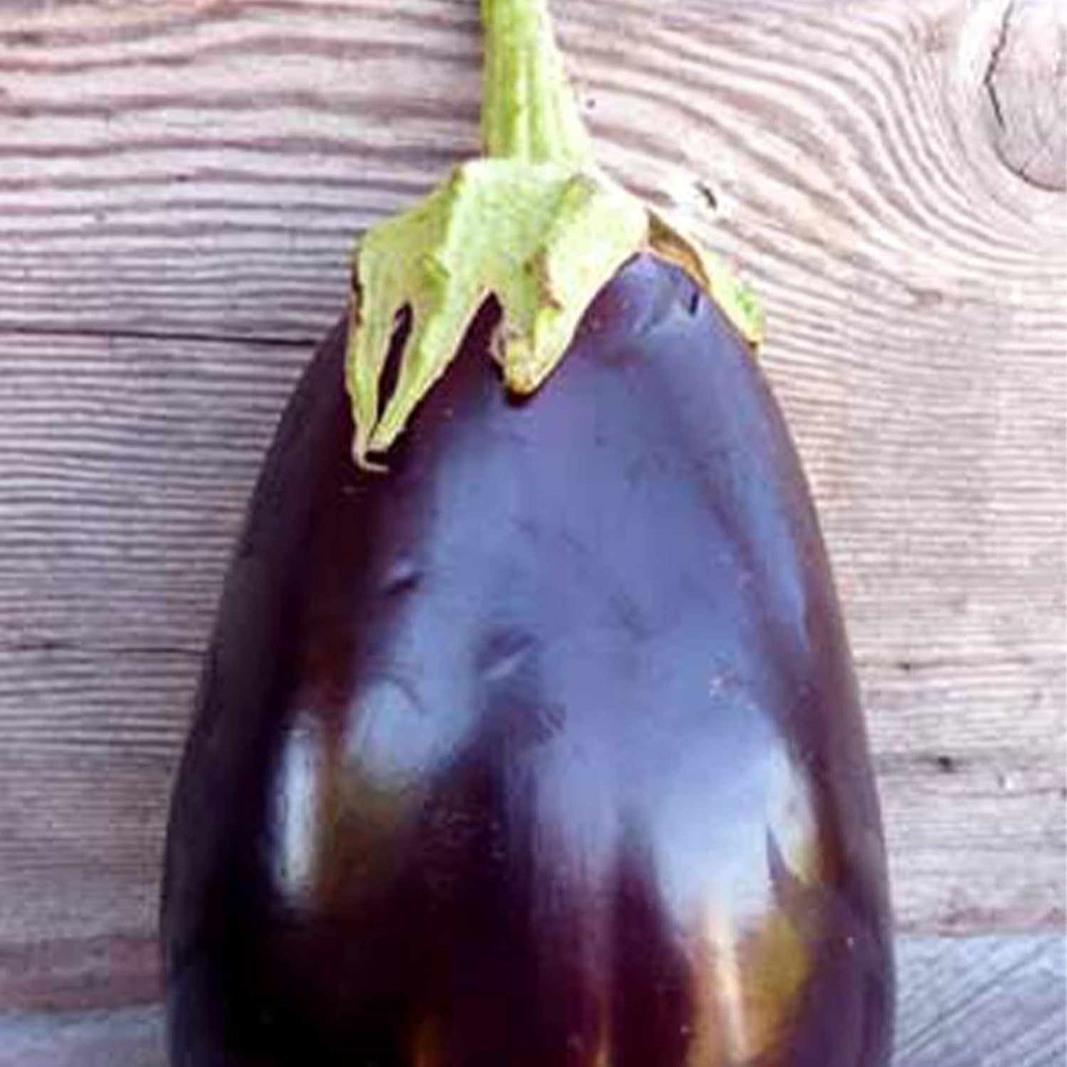 Organic Black Beauty Eggplant 250 mg ~55 Seeds
