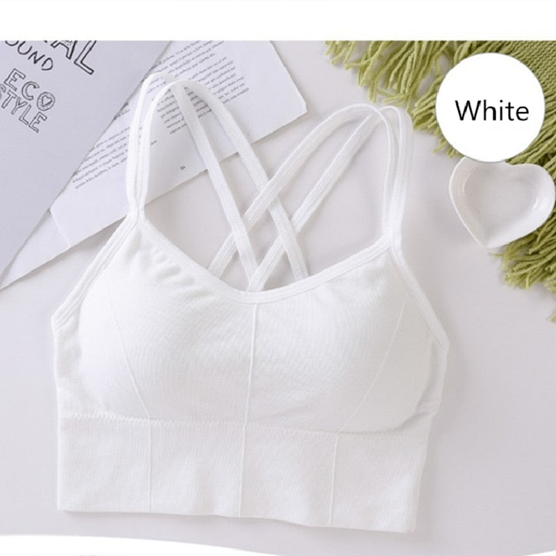 Fitness Sports Bra Women Shockproof Sexy High-Intensity Yoga Bra Bralette Running Gym Vest Cotton Underwear Fashion Beauty Back