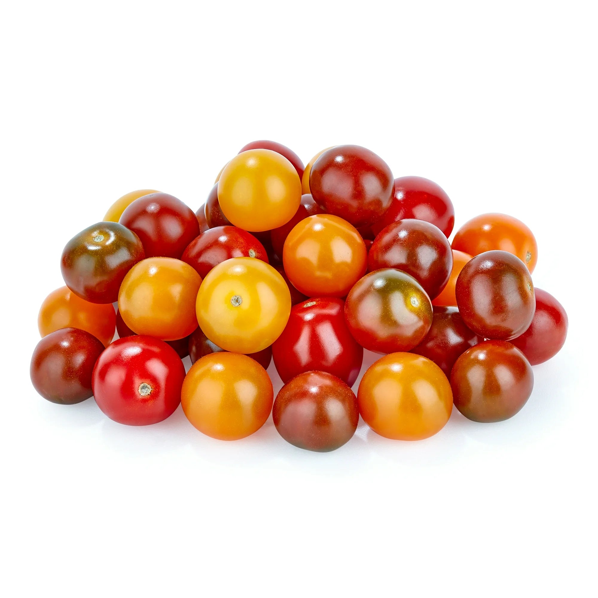Fresh Constellation Medley Tomato, 16.5 oz Package