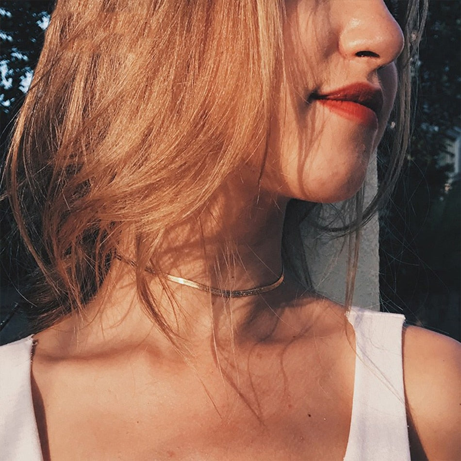 JUJIE 2MM/3MM/4MM/5MM Stainless Steel Snake Chain Necklace