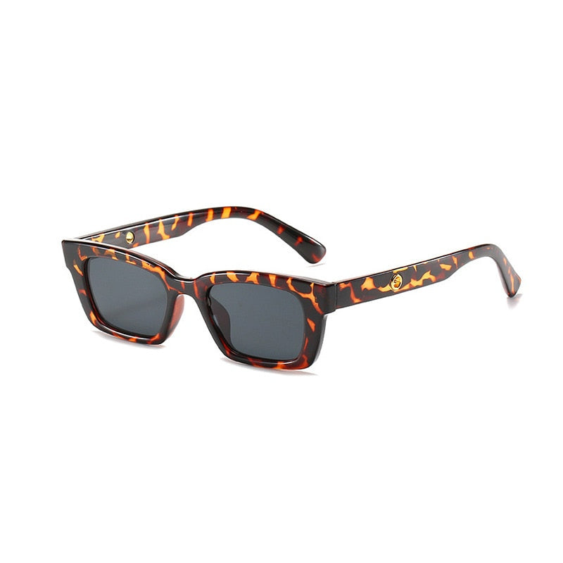 2 Pieces Leopard Small Frame Sunglasses