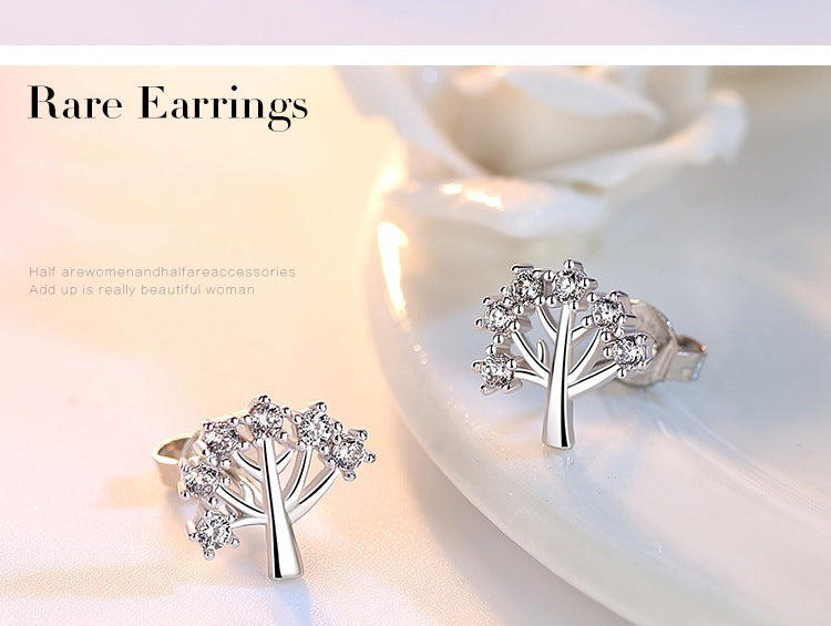 Silver Luxury Jewelry Ear Rings For Women - Shopeasywear