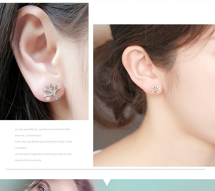 Silver Luxury Jewelry Ear Rings For Women - Shopeasywear