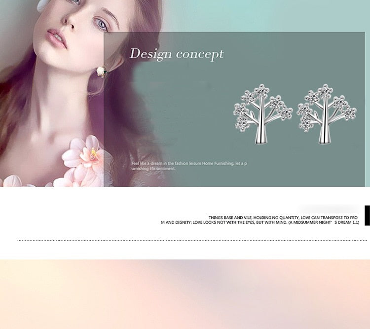 Silver Luxury Jewelry Ear Rings For Women - Shopeasywear