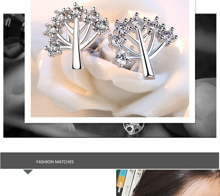 Silver Luxury Jewelry Ear Rings For Women - Shopeasywear