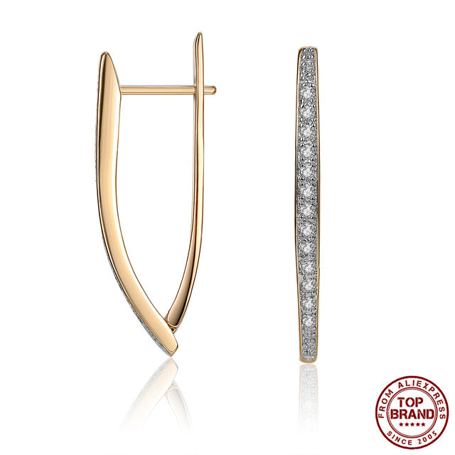 Hot Luxury V Shape Earrings - Shopeasywear