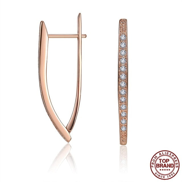 Hot Luxury V Shape Earrings - Shopeasywear