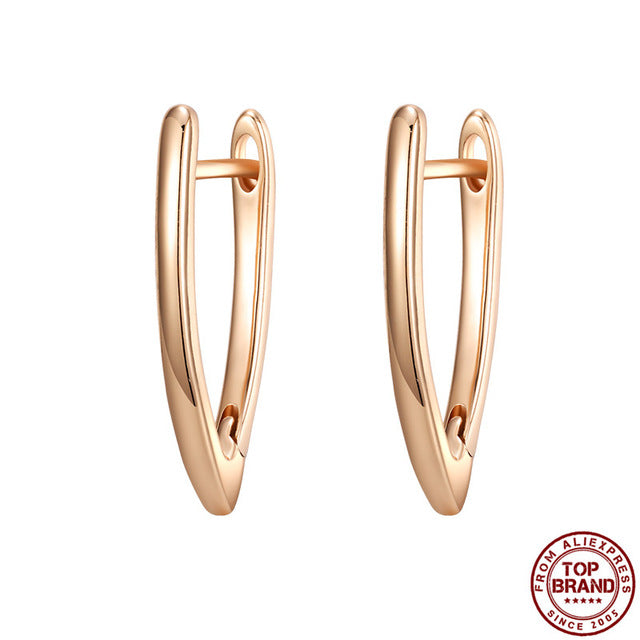 Hot Luxury V Shape Earrings - Shopeasywear