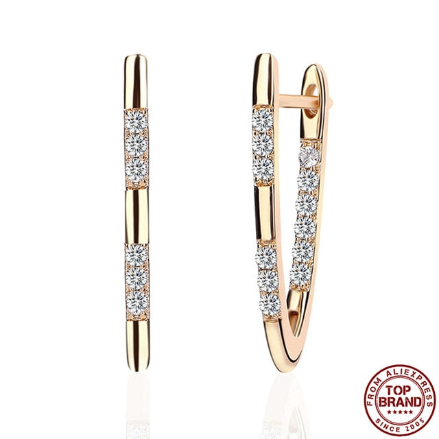 Hot Luxury V Shape Earrings - Shopeasywear