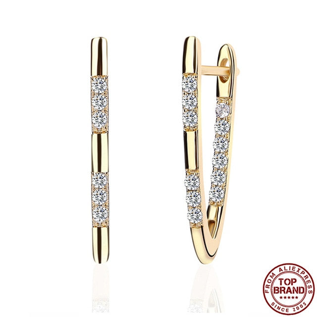 Hot Luxury V Shape Earrings - Shopeasywear